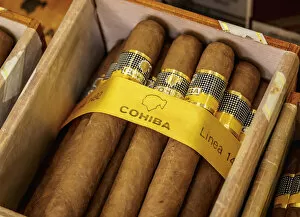 Images Dated 16th January 2020: Cohiba Cigars, Tienda del Habano, Cigar Store, La Habana Vieja, Havana