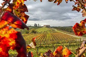 Collio of friuli venezia giulia in autumn Europe, Italy, Friuli Venezia Giulia, Udine