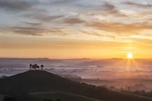 Colmers Hill, Dorset, England, UK