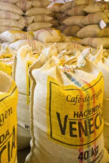 Images Dated 11th January 2010: Colombia, Caldas, Manizales, Hacienda Venecia, Coffee in sisal bags ready for export