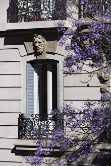 Colonial style architecture in a building of the Recoleta neighborhood during spring, with Jacaranda's trees in flower, Buenos Aires, Argentina