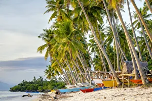 Palmtrees Prints: Colorful fishing boats on Paliton Beach, San Juan, Siquijor Island, Central Visayas