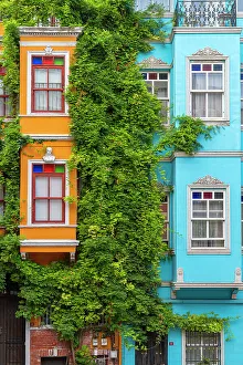 Turkiye Prints: Detail of colorful houses in Balat, Fatih District, Istanbul Province, Turkey