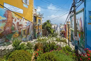 Colorful houses of Templeman staircase, UNESCO, Cerro Alegre, Valparaiso, Valparaiso Province, Valparaiso Region, Chile