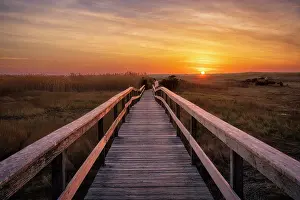 Board Walk Prints: Colorful rowboats at rest, Cape Cod, Chatham, Massachusetts, USA