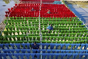 Colorful thread drying under sunlight, Narayanganj, Bangladesh