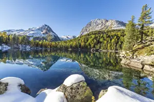 Larch Prints: Colorful woods reflected in the blue water of Lake Saoseo Poschiavo Valley Canton of GraubA'A¼nden Swizterland