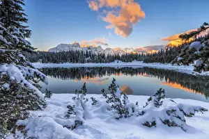 Plants Prints: The colors of dawn on the snowy peaks