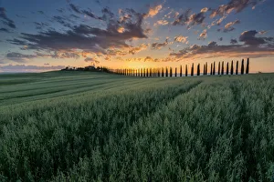 Country House Prints: The colors of the Val d Orcia, Poggio Covili, Tuscany, Italy