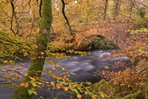 Colourful autumnal foliage on the banks of the River Brathay near Clappersgate Bridge