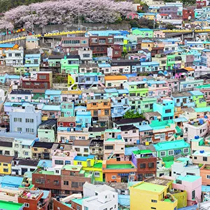 Crowded Prints: Colourful houses of Gamcheon Culture Village, Busan, South Korea
