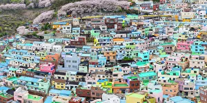 Crowded Prints: Colourful houses of Gamcheon Culture Village, Busan, South Korea