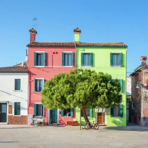 Colourful Houses Prints: Colourful houses, island of Burano, Venice, Italy