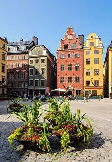 Cobbled Street Prints: Colourful Houses at Stortorget