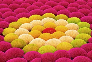 Drying Prints: Colourful Incense sticks laid out to dry, Quang Phu Cau village, near Hanoi, Vietnam