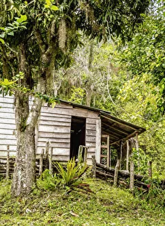 Communism Gallery: Comandancia de la Plata, Sierra Maestra, Granma Province, Cuba