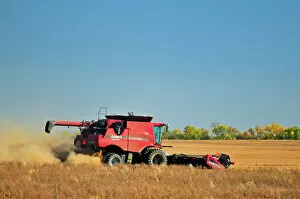 Agribusiness Gallery: Combining lentils near Abermathy Saskatchewan, Canada