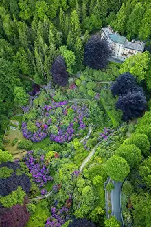 Alpi Biellesi Prints: Conca dei Rododendri in the Oasi Zegna natural area during spring