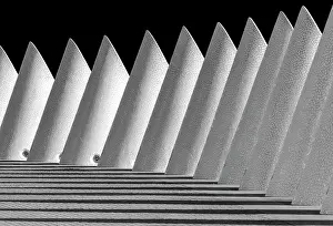 Sciences Prints: Conical air vents and shadows, Ciudad de los artes y ciencias (City of Arts and Sciences)