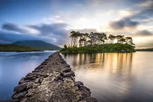 Images Dated 30th August 2018: Connemara, County Galway, Connacht province, Ireland Lough Inagh lake with Pines Island