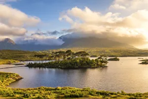 Connacht Prints: Connemara, County Galway, Connacht province, Ireland Lough Inagh lake with Pines Island