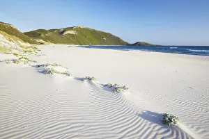 Australian Gallery: Conspicuous Cliffs beach, Walpole, Western Australia, Australia