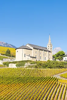 Canton Of Valais Prints: Conthey, Canton of Valais, Switzerland, Europe