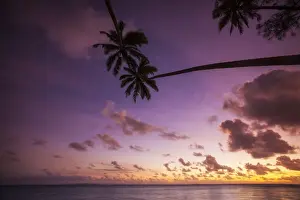 Polynesia Prints: Cook Islands, Aitutaki Atoll, beach and palm trees silhouette