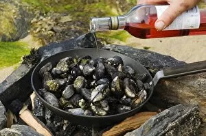 Images Dated 26th July 2006: Cooking mussels at a beach barbecue on Colonsay