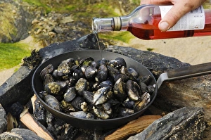 Cook Prints: Cooking mussels at a beach barbecue on Colonsay