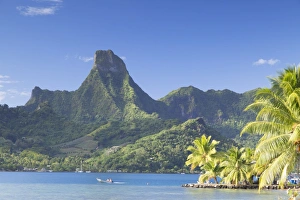 Cooks Bay Gallery: Cooks Bay, Mo orea, Society Islands, French Polynesia