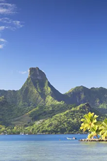 Cooks Bay, Mo orea, Society Islands, French Polynesia