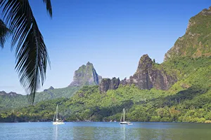 Cooks Bay Gallery: Cooks Bay, Mo orea, Society Islands, French Polynesia
