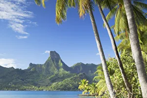 Cooks Bay, Mo orea, Society Islands, French Polynesia