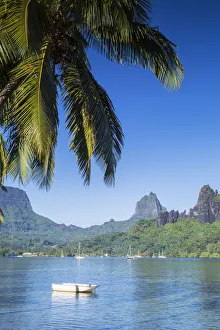 Cooks Bay, Mo orea, Society Islands, French Polynesia
