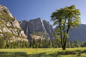 Images Dated 18th May 2016: Cooks Meadow and Yosemite Falls, Yosemite Valley, California, USA. Spring (June) 2015