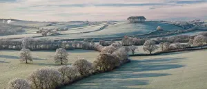 December Prints: Cookworthy Knapp (Nearly Home Trees) on a frosty winter morning