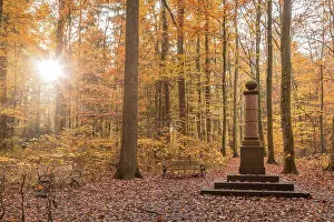 Autumnal Prints: Copy of the Landgrave Column on Kirdorfer Allee (in the Great Tannenwald)