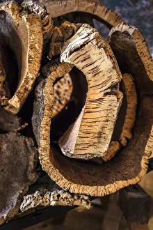 Cork Prints: Cork, Museo do Trajo, Sao Bras de Alportel, Algarve, Portugal