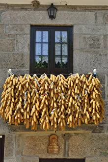 Images Dated 17th February 2016: Corn presented during the festivities of Tourem. Peneda Geres National Park, Portugal
