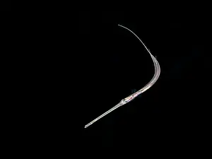 Tropical Fish Prints: Cornetfish (Fistularia tabacaria) at night during a black water dive on Grand Cayman