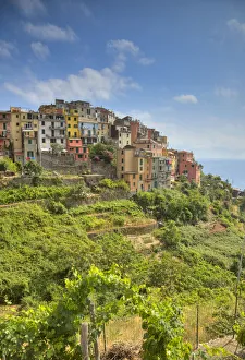 Riviera Di Levante Gallery: Corniglia, Cinque Terre, Riviera di Levante, Liguria, Italy