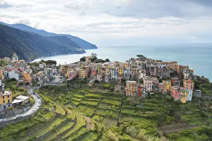 Outodoor Prints: Corniglia, municipality of Vernazza, National Park of Cinque Terre, La Spezia province
