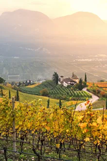 Cortaccia on the wine route Europe, Italy, Trentino Alto Adige, Souht Tyrol, Cortaccia