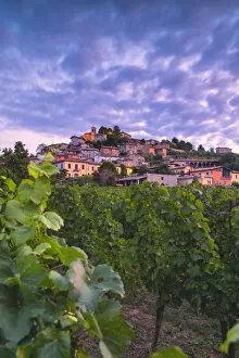 Corte de Lantieri winery, Brescia province, Lombardy district, Italy Europe