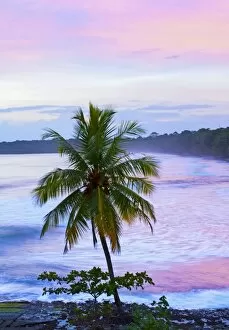 Images Dated 7th February 2015: Costa Rica, Cahuita, Cahuita National Park, Lowland Tropical Rainforest, Caribbean Coast