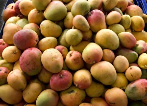 Images Dated 26th March 2010: Costa Rica, Cartago, Mercado Muncipal de Cartago, Fruit and Vegetable Market, Mangos