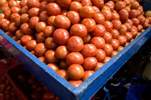 Images Dated 26th March 2010: Costa Rica, Cartago, Mercado Muncipal de Cartago, Fruit and Vegetable Market, Tomatoes