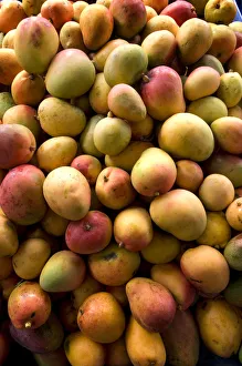 Images Dated 26th March 2010: Costa Rica, Cartago, Mercado Muncipal de Cartago, Fruit and Vegetable Market, Mangos