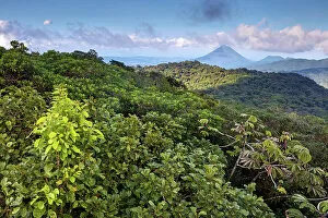 Images Dated 17th January 2023: Costa Rica, Cloud forest, Reserva Bosque Nuboso Santa Elena, volcano Arenal, near Santa Elena town